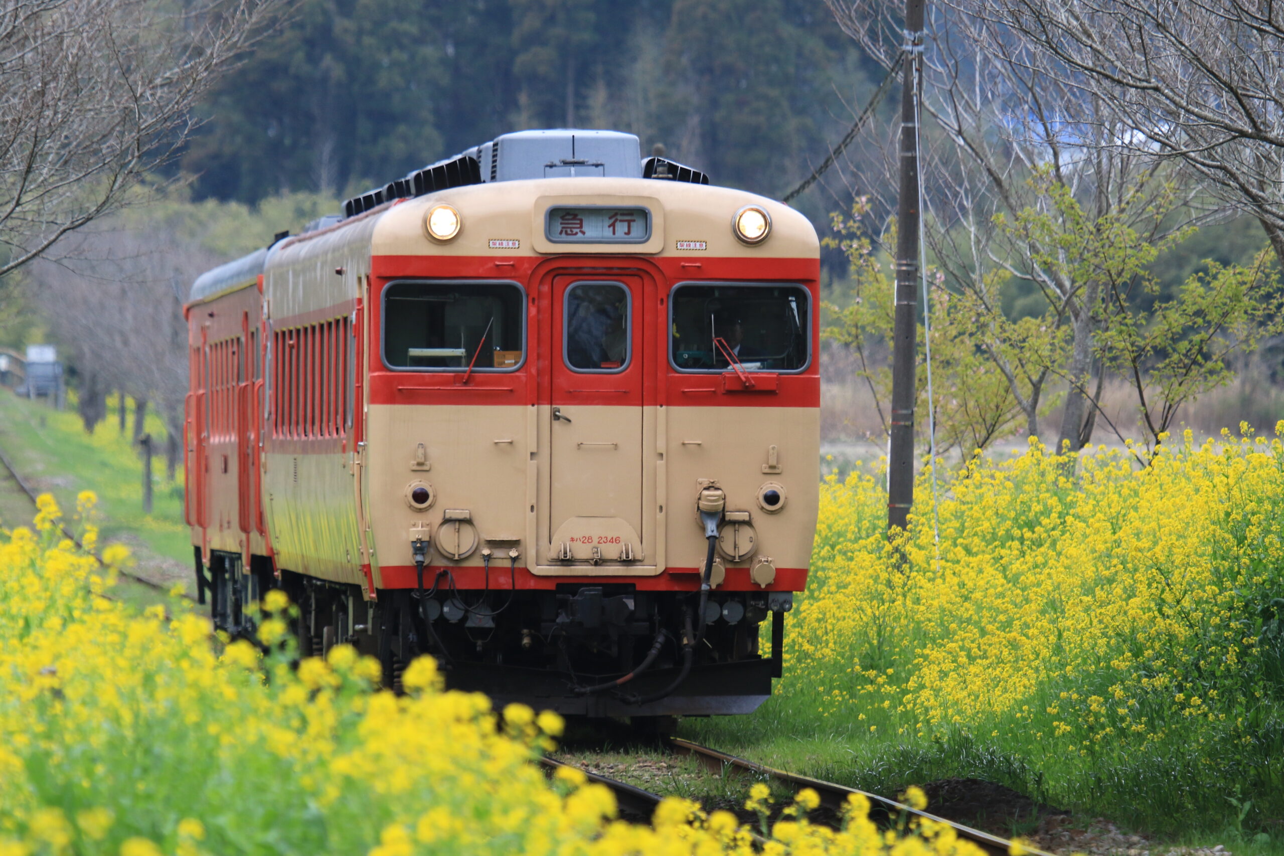 いすみ鉄道　キハ28 完全引退　2023年2月